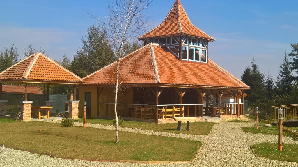 Pensiunea Casa Luanna Dragus Buitenkant foto